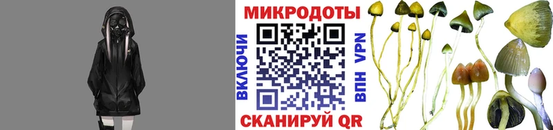 площадка клад Пошехонье Псилоцибиновые грибы MAGIC MUSHROOMS купить наркотики сайты